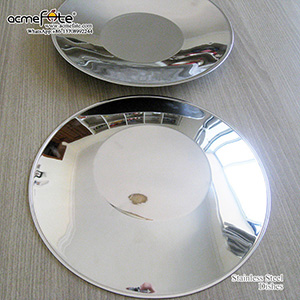 Stainless Steel Dishes